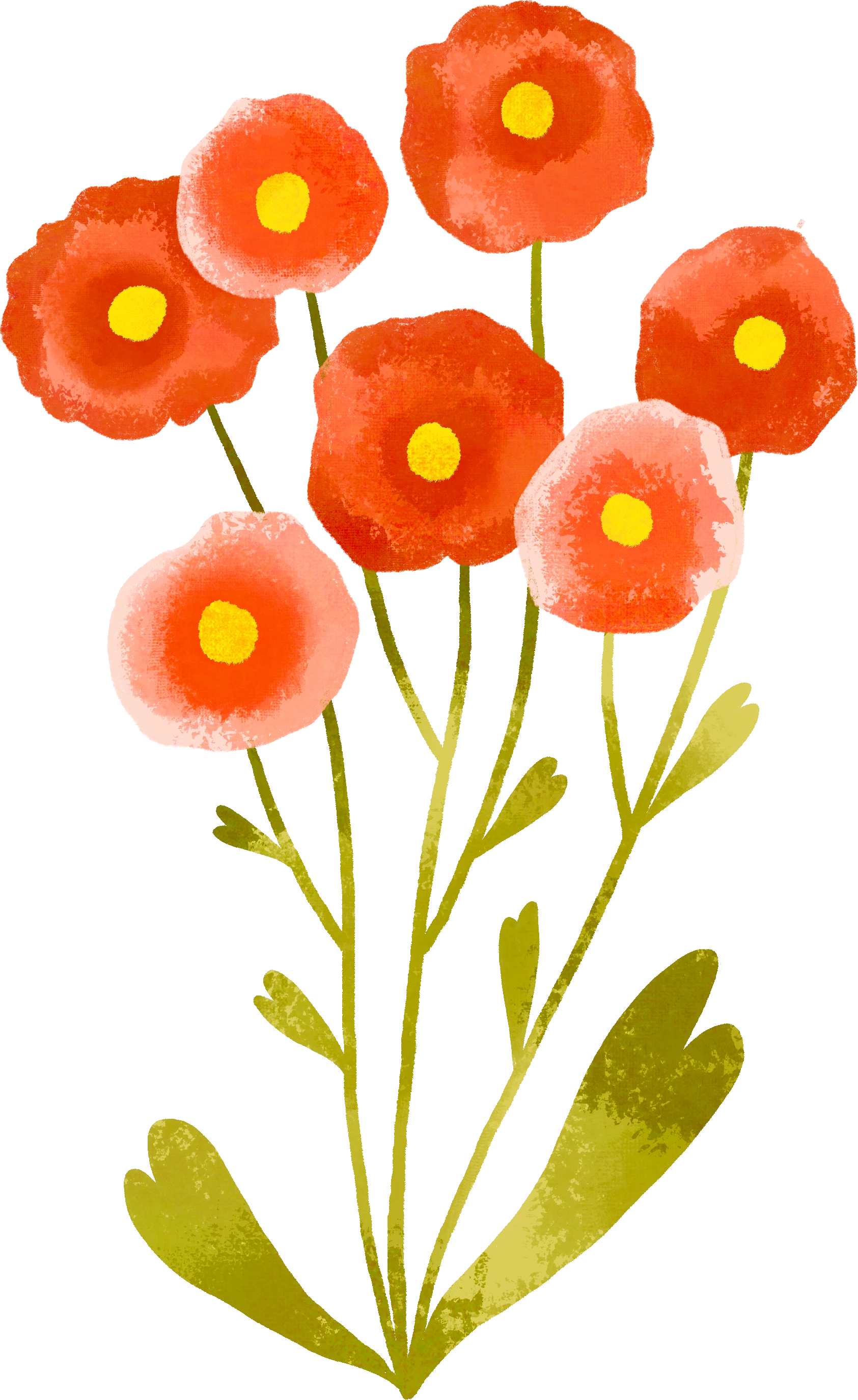 Flower Image